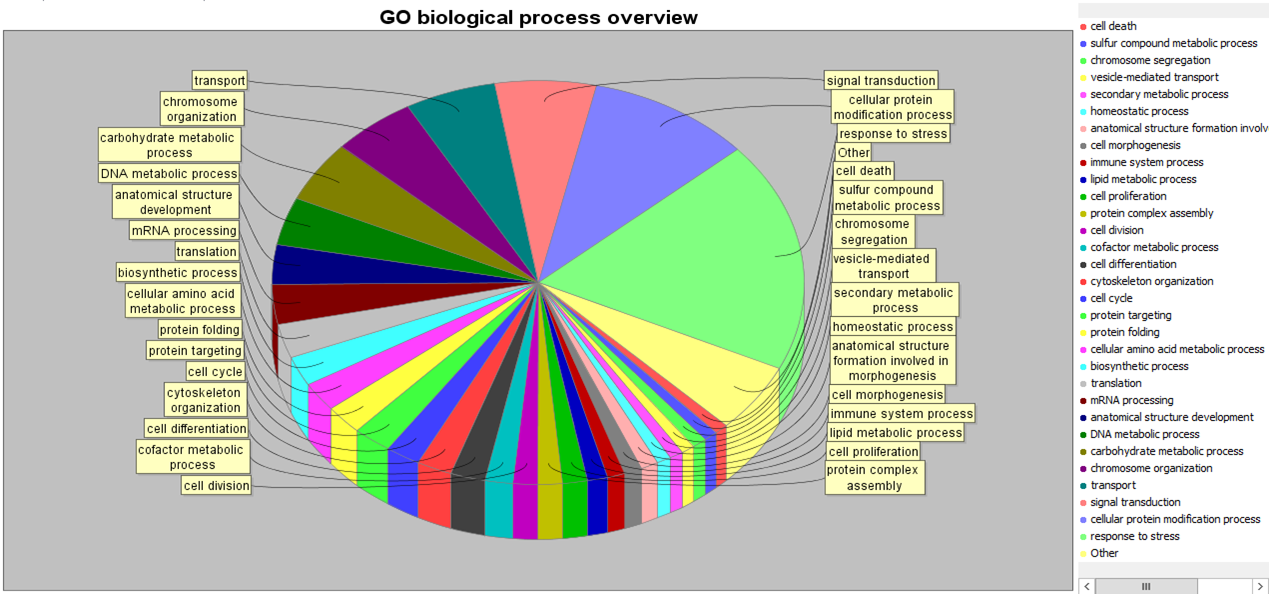 Gene Ontology Pie Chart