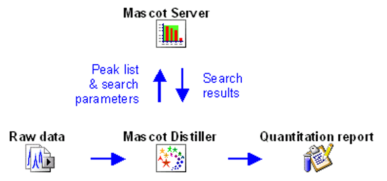 Mascot workflow: raw data is peak picked by Mascot Distiller, submitted to Mascot Server for database search, imported into Distiller for quantitation, and Distiller produces a quantitation report