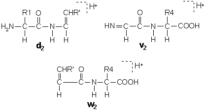 fragment types d,v,w