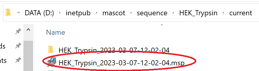 Location of the generated msp file on the Mascot server