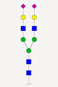 Glycan