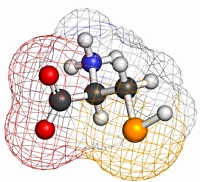 Selenocysteine