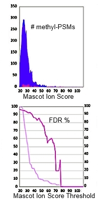 ROC curve