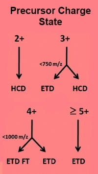 Fragment according to precursor charge