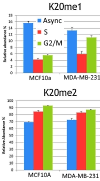 Methylation on Lysine 20