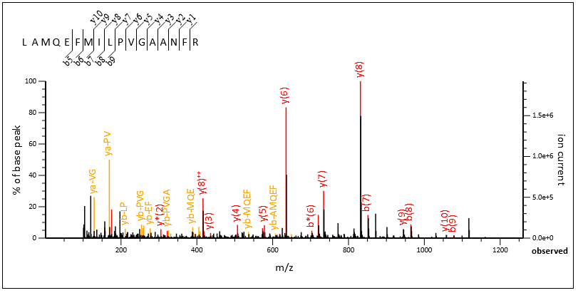 Matched MS/MS spectrum of query 70020