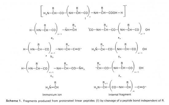 ion series nomenclature