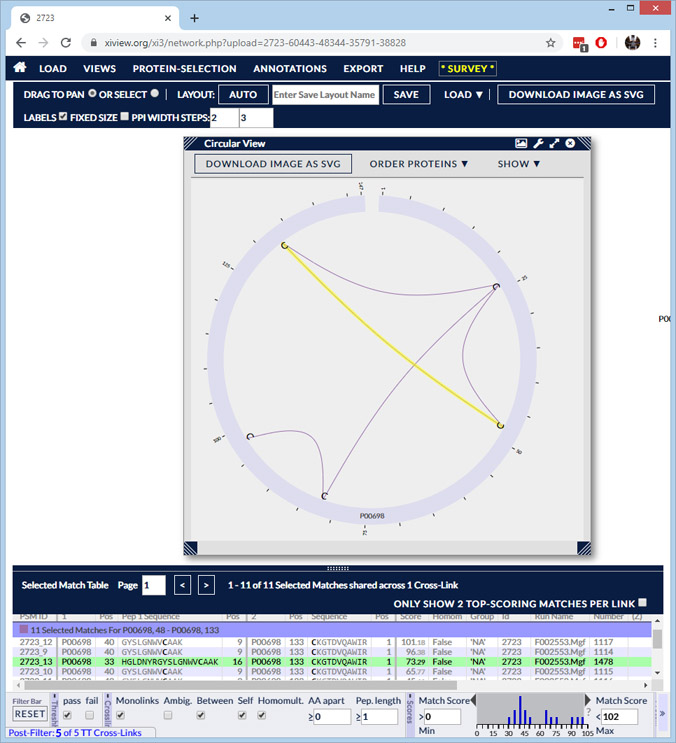 xiVIEW example