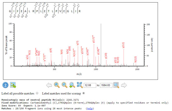 28/190 fragment ions using 28 most intense peaks