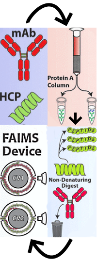 Combination of FAIMS, Protein A Depletion, and Native Digest Conditions Enables Deep Proteomic Profiling of Host Cell Proteins in Monoclonal Antibodies