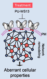 Molecular Stressors Engender Protein Connectivity Dysfunction through Aberrant N-Glycosylation of a Chaperone