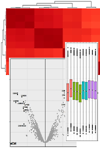 Creating Charts and Plots from the Quantitation Summary