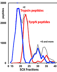 Isolation of acetylated and unmodified protein N-terminal peptides by strong cation exchange chromatographic separation of TrypN-digested peptides