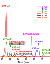A Chemical Acetylation based Mass Spectrometry Platform for Histone Methylation Profiling