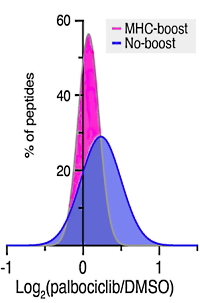 Quantitative consequences of protein carriers in immunopeptidomics and tyrosine phosphorylation MS2 analyses