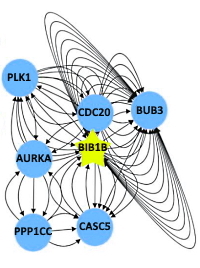 Mapping Proximity Associations of Core Spindle Assembly Checkpoint Proteins