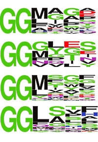 Antibody toolkit reveals N-terminally ubiquitinated substrates of UBE2W