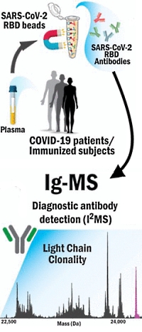 Next-Generation Serology by Mass Spectrometry: Readout of the SARS-CoV-2 Antibody Repertoire