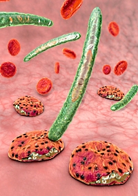 A dynamic and combinatorial histone code drives malaria parasite asexual and sexual development