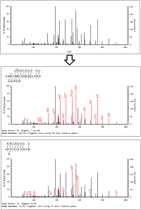 Illustration for blog article