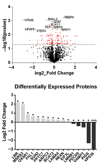 Thumbnail from featured publication