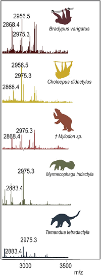 Thumbnail from featured publication