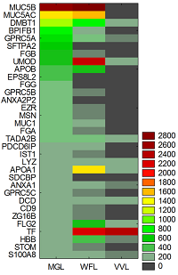 Thumbnail from featured publication