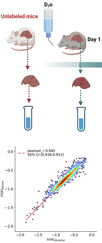 Thumbnail from featured publication