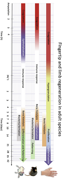 Thumbnail from featured publication