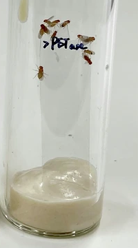 Thumbnail from featured publication